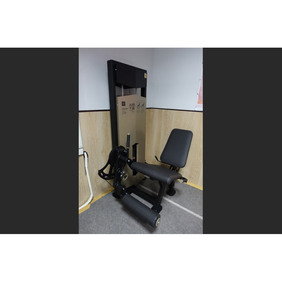 LegendGym - Leg extension VB 314
