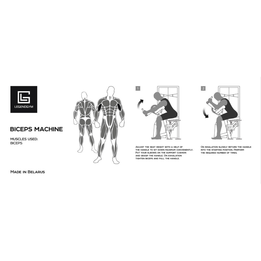 LegendGym - Biceps machine VB 316