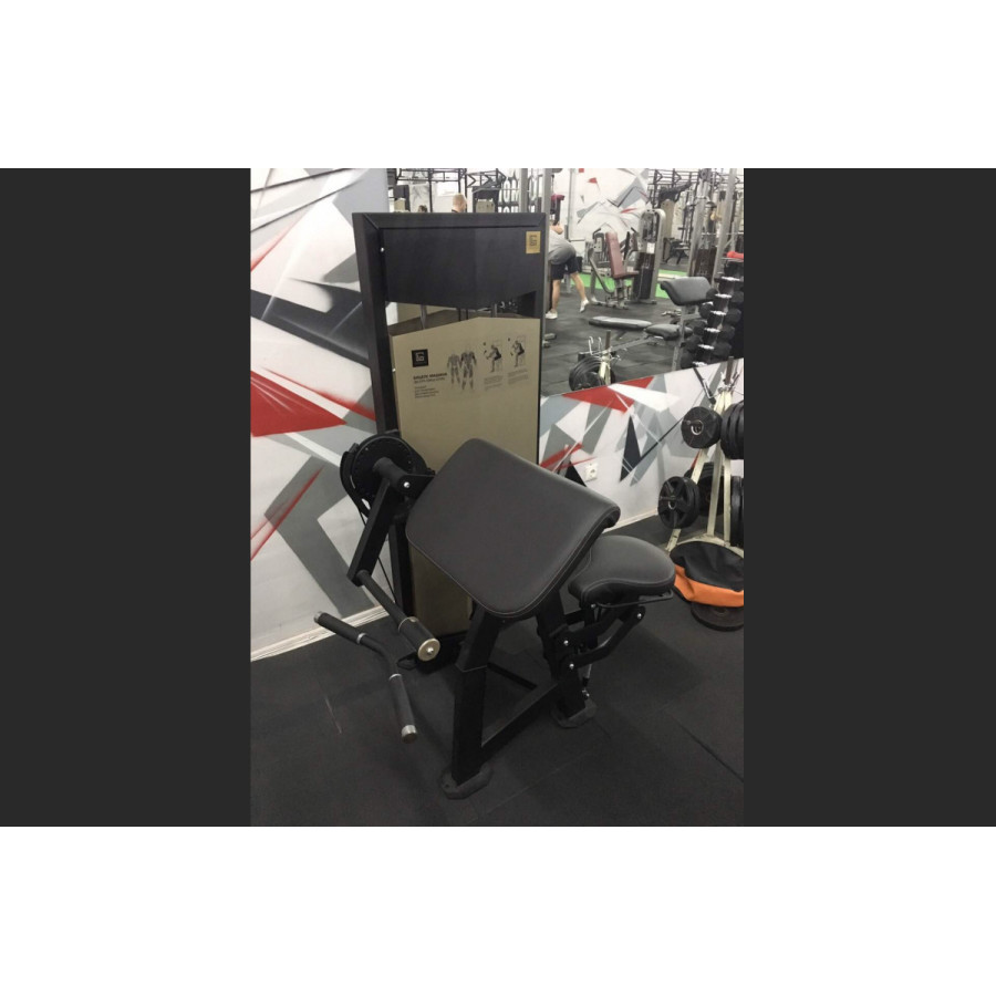 LegendGym - Biceps machine VB 316