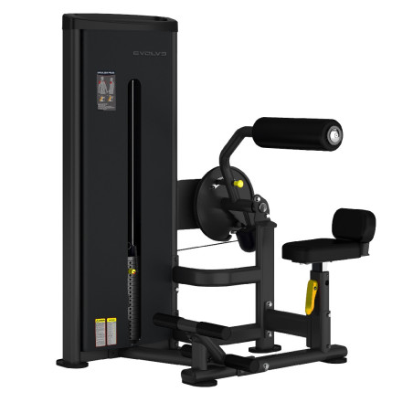 Evolve Econ Series Dual Function Selectorized Abdominal / Back Extension, EC-009