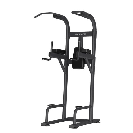 Evolve Econ Series Dip & Pull Up Station, EC-008