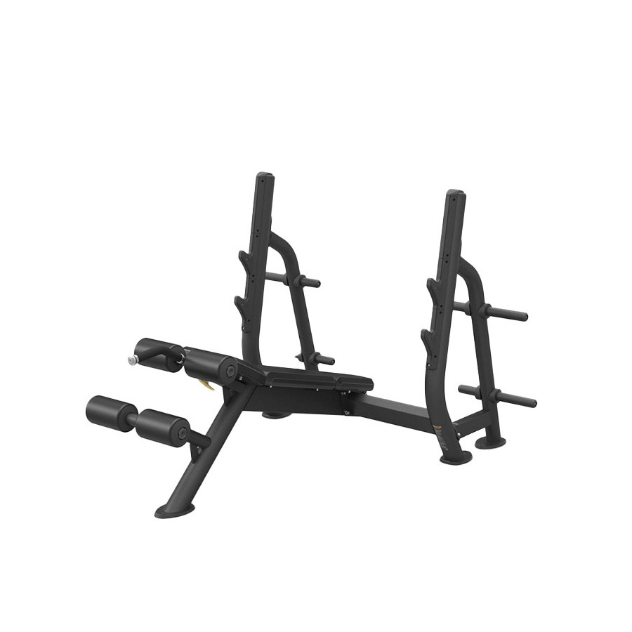 Evolve Prime Series Olympic Decline Bench