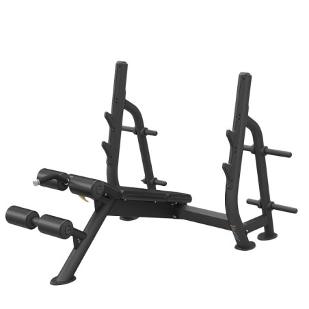 Evolve Prime Series Olympic Decline Bench