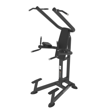 Evolve Prime Series Dip & Pull Up Station