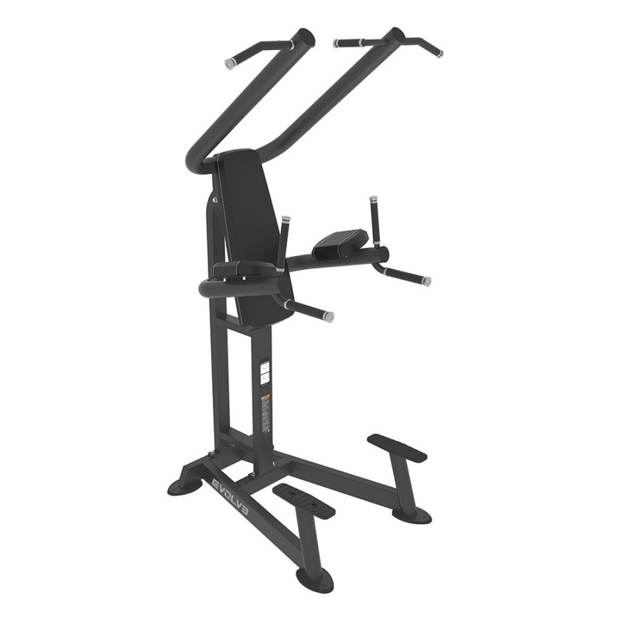 Evolve Prime Series Dip & Pull Up Station