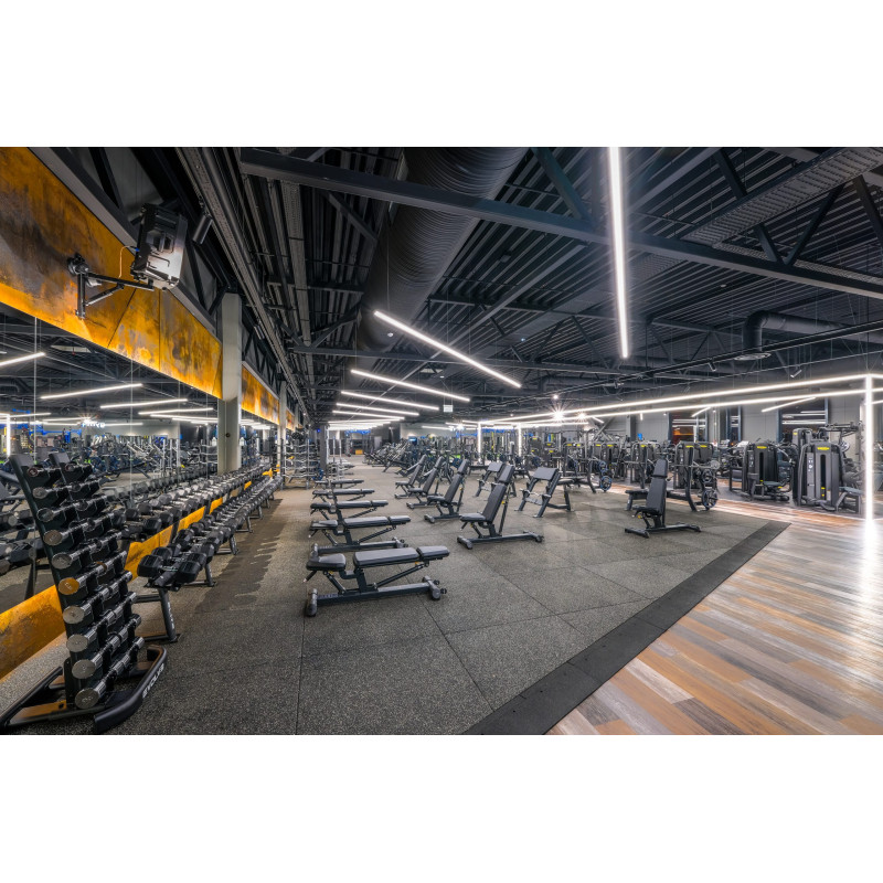 Evolve Prime Series Adjustable Bench, PR-204