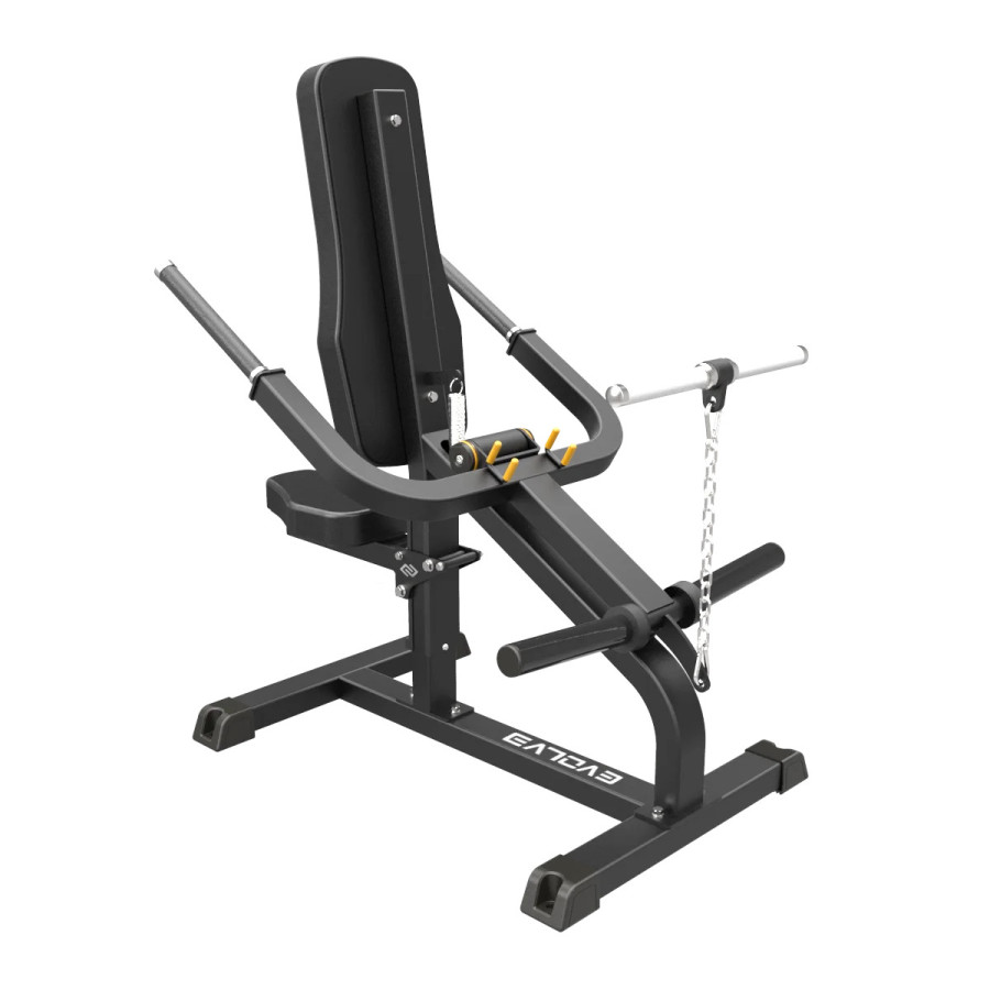 Evolve Econ Series Plate Loaded Biceps & Triceps (EC-200)