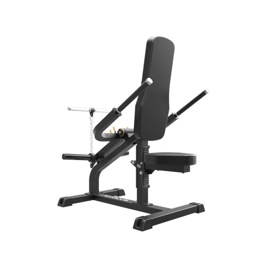 Evolve Econ Series Plate Loaded Biceps & Triceps (EC-200)