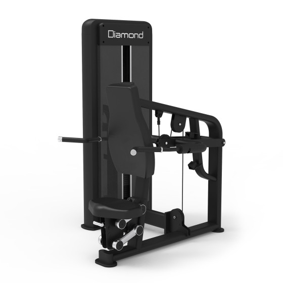 Diamond Fitness - S550 TRICEPS DIP