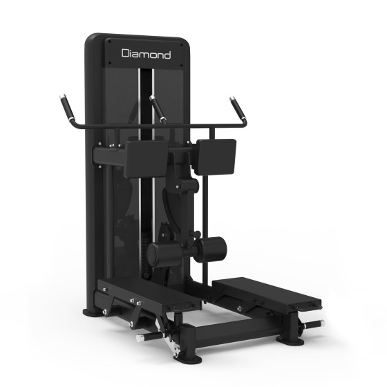Diamond Fitness - S550 STANDING LEG CURL