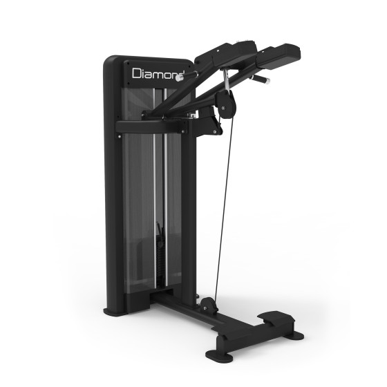 Diamond Fitness - S550 STANDING CALF