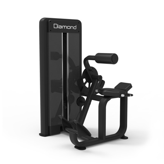 Diamond Fitness - S550 BACK EXTENSION