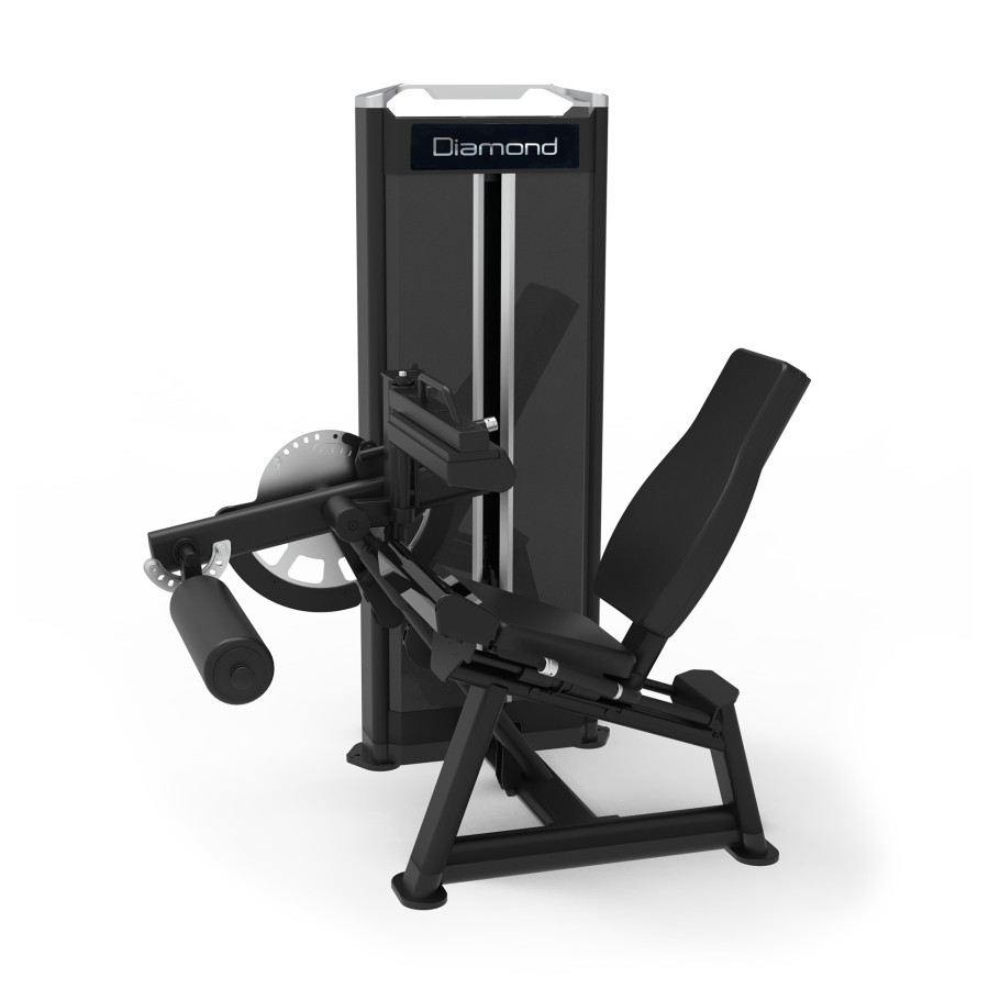 Diamond Fitness - S650 COMBO LEG EXTENSION / SEATED LEG CURL