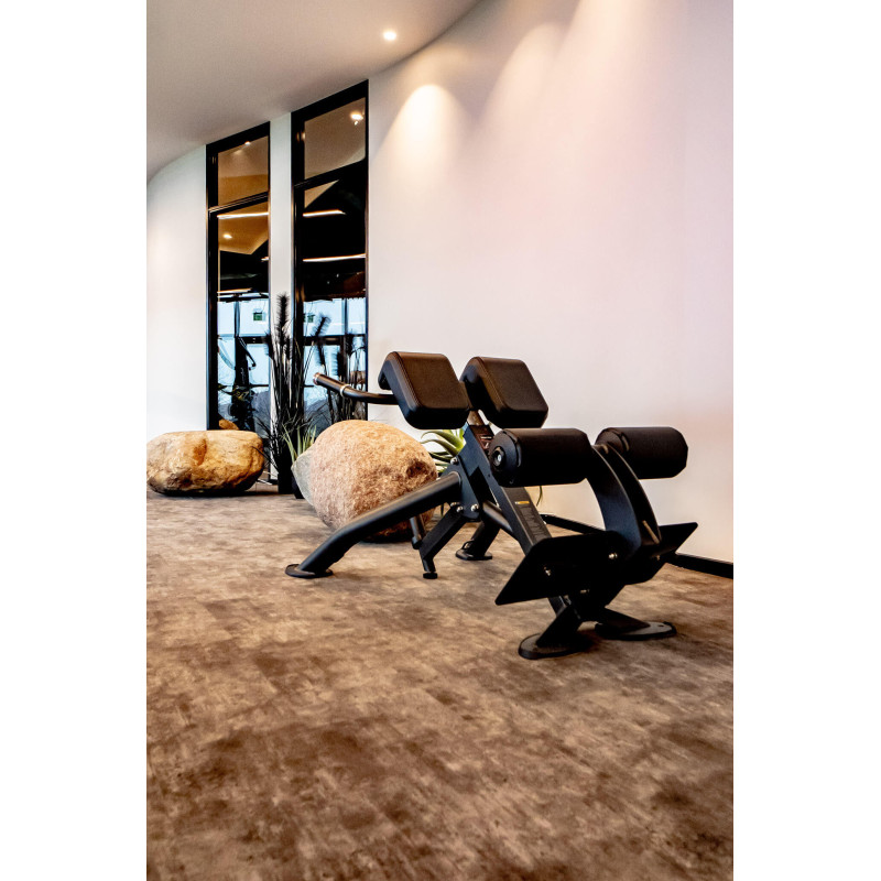 Evolve Prime Series Hyperextension Bench