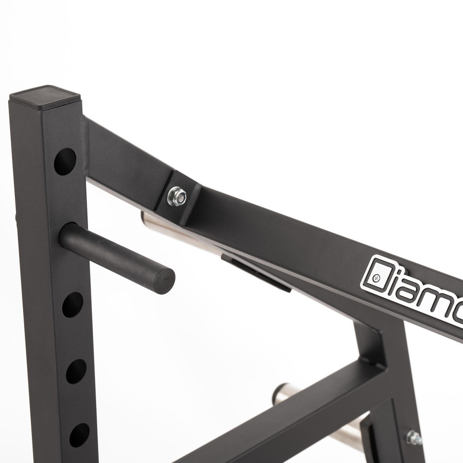 Diamond Fitness - BELT SQUAT