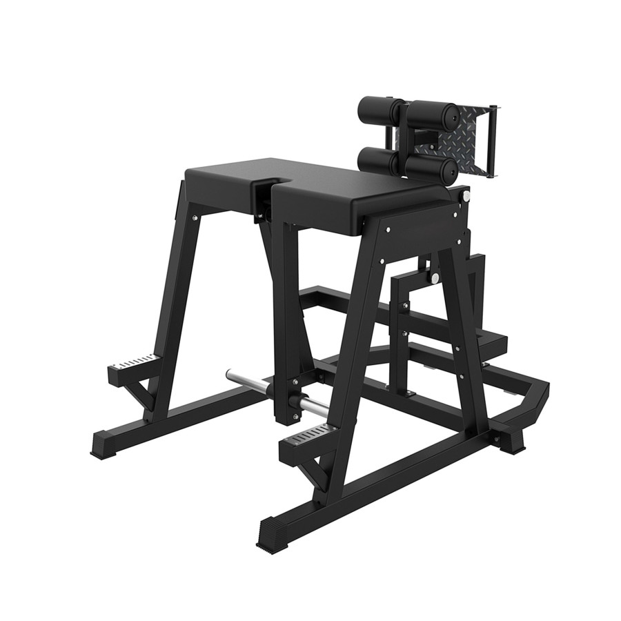 Diamond Fitness - REVERSE HYPER MACHINE