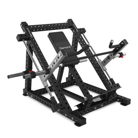 Diamond Fitness - SRIGS BACK SMITH ROW