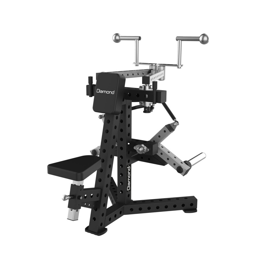Diamond Fitness - SRIGS REAR DELT