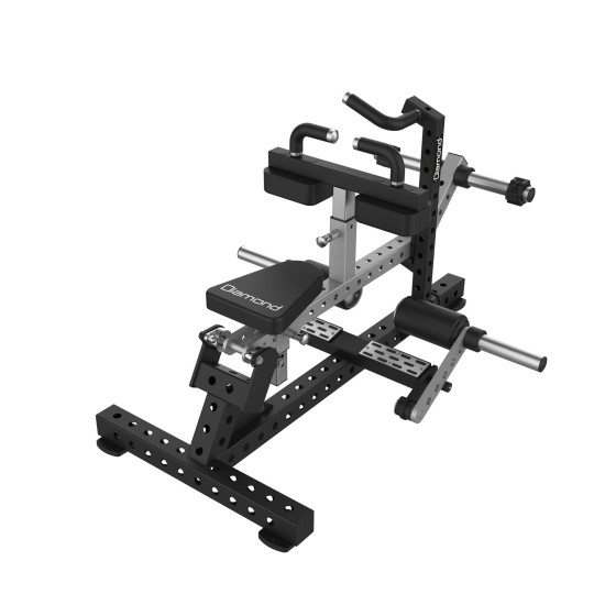 Diamond Fitness - SRIGS SITTING CALF